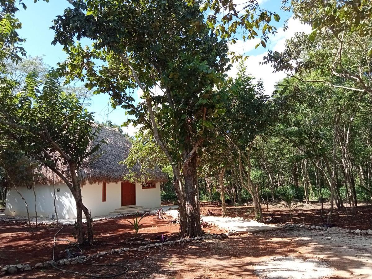 Cabana Magica & Yoga Ek' Balam Ngoại thất bức ảnh